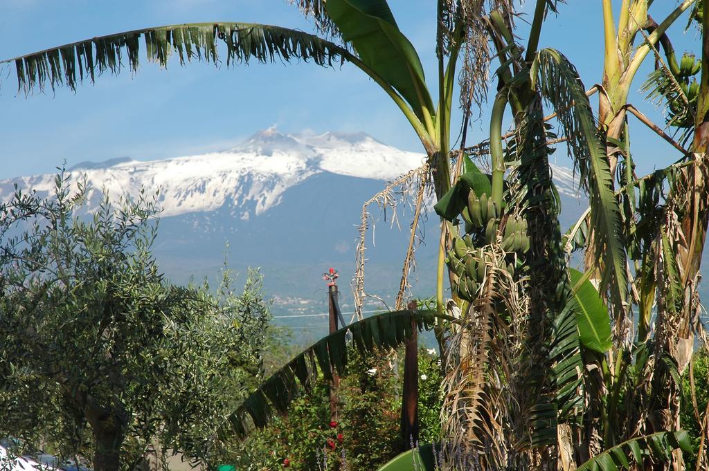 Agriturismo Dell'Etna Riposto Exterior foto